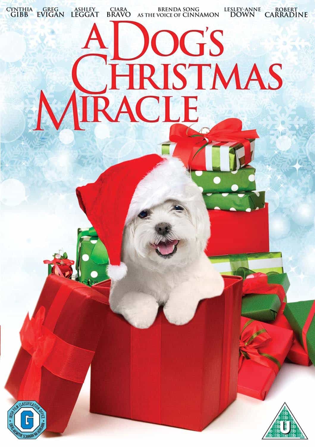 A Dogs Christmas Miracle